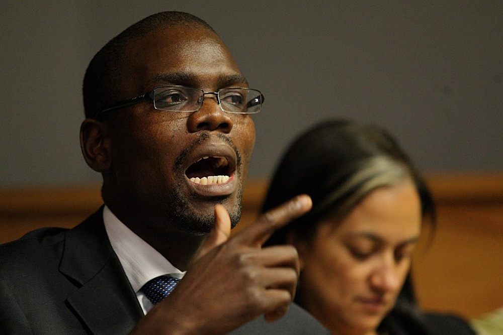 Prince Mashele policy analysis discussion